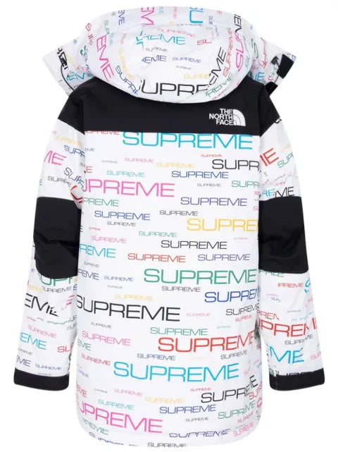 Supreme x TNF Coldworks 700-Fill down parka